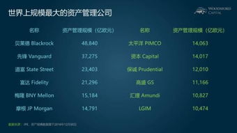 小烏龜學(xué)投資系列七 撥開(kāi)迷霧，慧眼識(shí)珠——如何比較與區(qū)分海外股權(quán)投資機(jī)構(gòu)